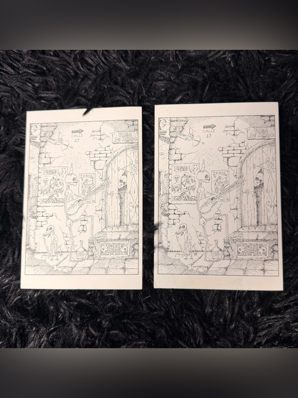 Vintage 1993 Raul Chavez Casa de Amor Skeleton Art Postcards Set of 2 Prints 90s